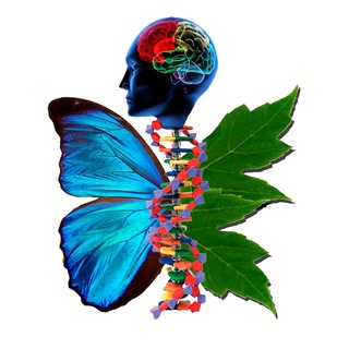 Академия биологии и биотехнологии ЮФУ