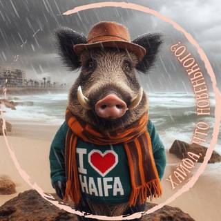 Хайфа, что новенького?