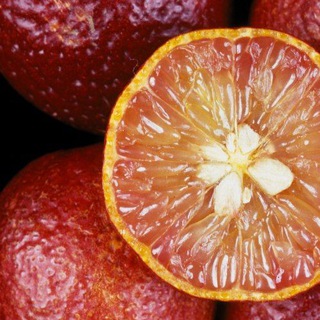🍋 Красный ЛиМОН