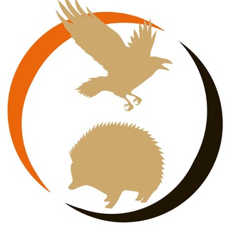 ЛПР | Воронеж