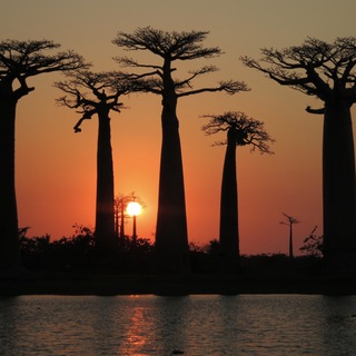 Мадагаскар, Африка