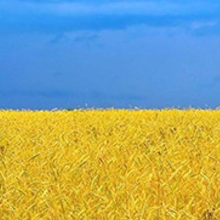 Політика Україна | Политика Украины