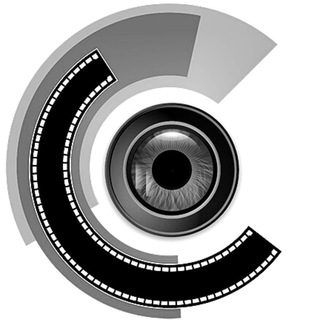 Политика в фокусе