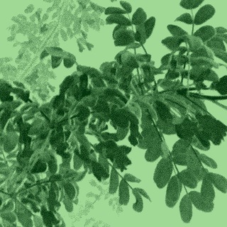 СВЕРЧКОВАЯ