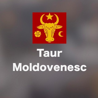 Taur Moldovenesc | Молдова