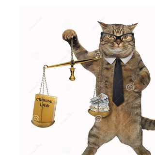 А судьи кот