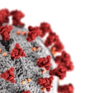 Корона вирусов