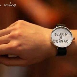 Станция скорой помощи для бездомных животных(ССП) 