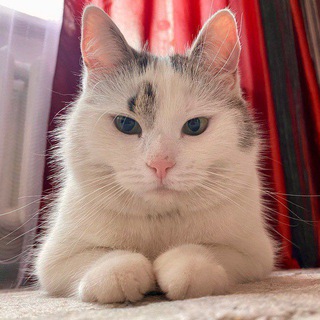 А-ну-ка Давай-ка