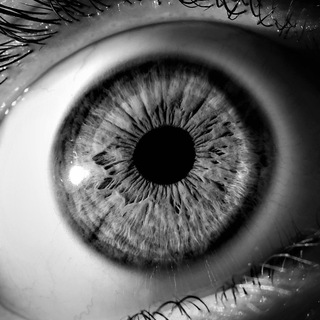 Инсайдеры об аутсайдерах