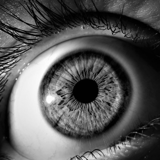 Интересные инсайды