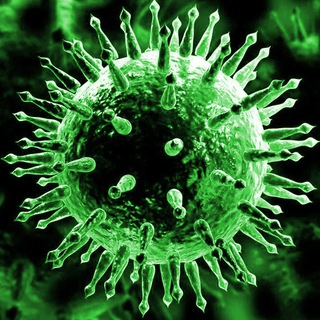 Коронавирус/Москва/Covid-2019/SARS-CoV-2/L-тип/S-тип