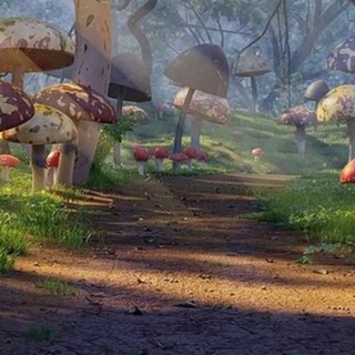 Зазеркалье