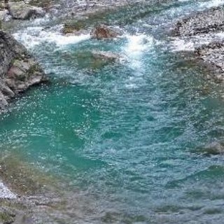 Плыть по течению