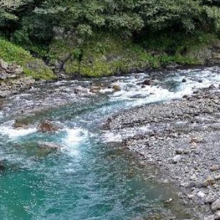 Плыть по течению