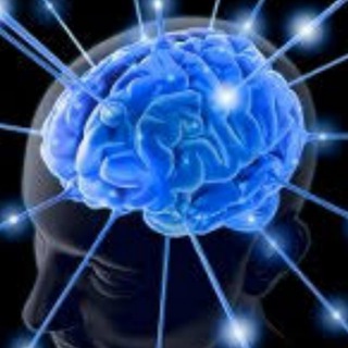 Прокачка мозгов