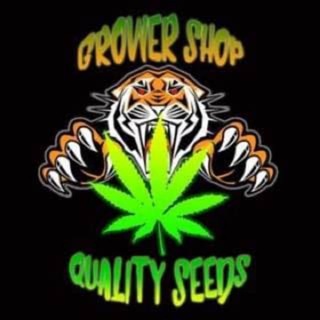 𝐌𝐚𝐠𝐚𝐳𝐢𝐧 𝐎𝐧𝐥𝐢𝐧𝐞