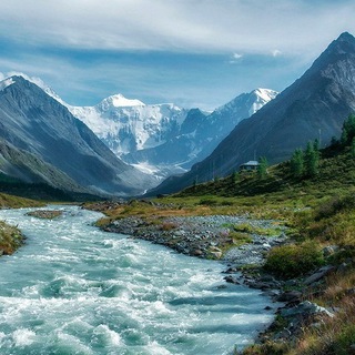 Сибирские цирюльники