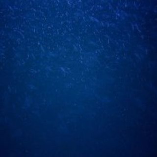 Всё про всё