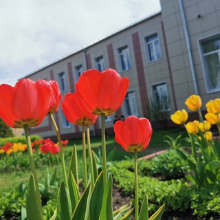 МОУ СОШ 18 с УИОП