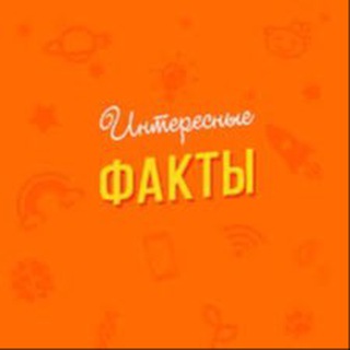 Интересные факты