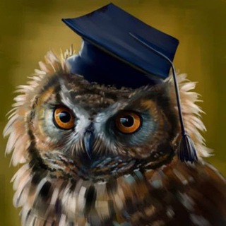 Quiz | Голубь знаний 🦉