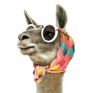 Витасик печатает...