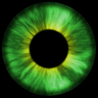 Особое мнение