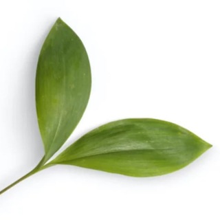 ЭКОМАРКЕТ | ЕКБ