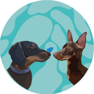 жизнь двух грибожуйчиков 💕