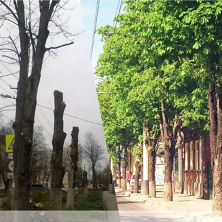 Зеленый контроль