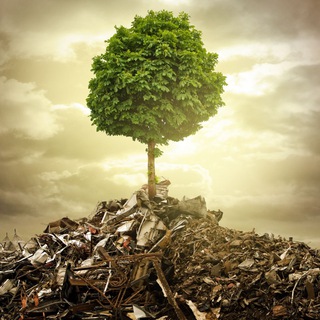 Reserve экология ссылка