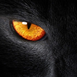 Nature | Природа