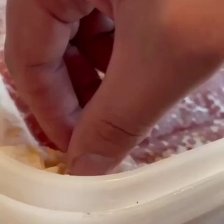 ИКРА и Рыба с Камчатки