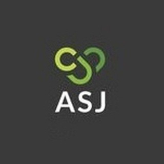 Кроссовки AsjKross