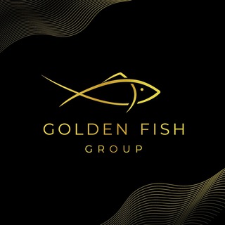 GF_GoldenFish🐠