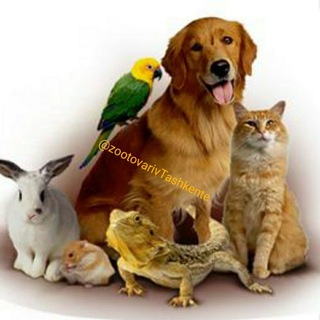 🐹Зоотовары🐶