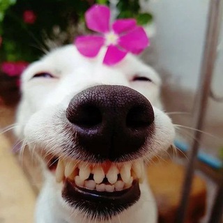 Отзывы Икра, Краб, Рыба