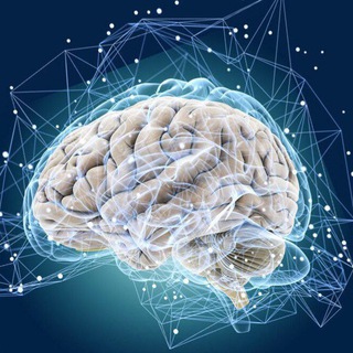 саморазвитие