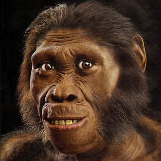 Рефлексия сапиенса