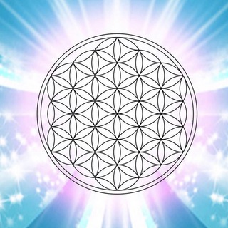 Вселенная целительства Степана Петроченко