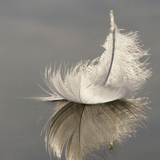 ЖИЗНЬ ЧУВСТВАМИ...