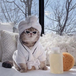 Саша вещает