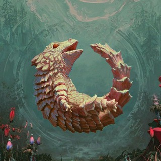 Mein Lieblings Portfolio🔥