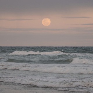 ɴᴇᴠᴇʀʟᴀɴᴅ