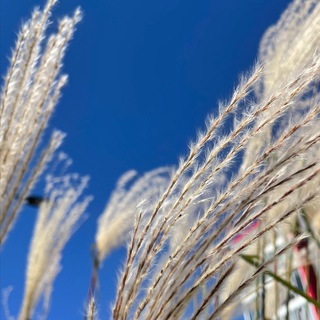 Психология