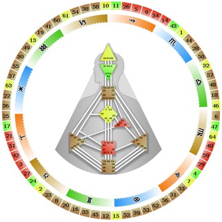 ДИЗАЙН ЧЕЛОВЕКА РАСШИФРОВКА