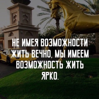 Психология PRO успех