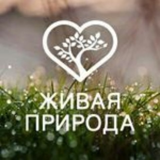 Телеканал ЖИВАЯ ПРИРОДА