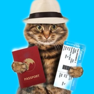 Вокруг света с Koti Travel 🌍 Путешествия